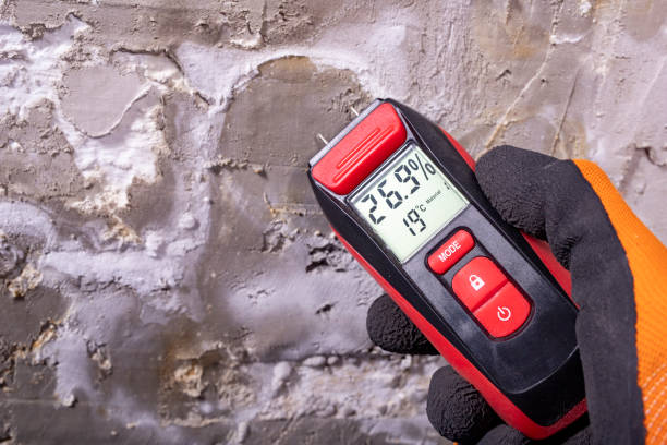 Best Emergency Mold Removal  in Sanibel, FL